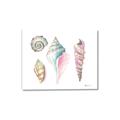 Picture of Seashells II  _GroupedProduct_Rectangle_Landscape_Canvas_