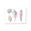 Picture of Seashells II  _GroupedProduct_Rectangle_Landscape_Canvas_