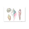 Picture of Seashells II  _GroupedProduct_Rectangle_Landscape_Canvas_