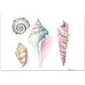 Picture of Seashells II  _GroupedProduct_Rectangle_Landscape_Canvas_