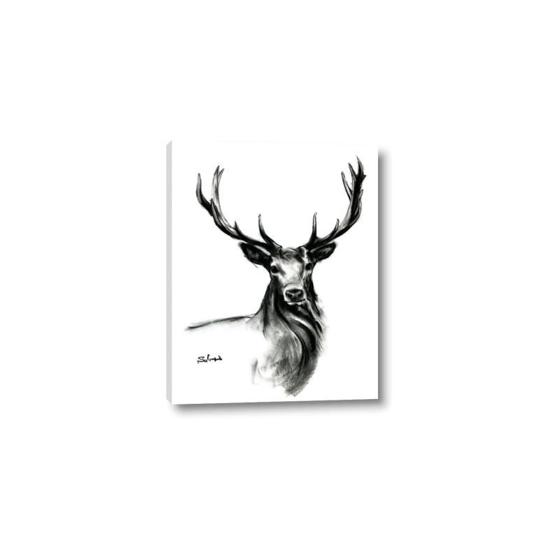 Picture of Sketched Deer  _GroupedProduct_Rectangle_Portrait_Canvas_