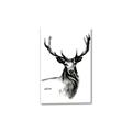 Picture of Sketched Deer  _GroupedProduct_Rectangle_Portrait_Canvas_