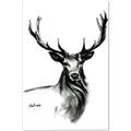 Picture of Sketched Deer  _GroupedProduct_Rectangle_Portrait_Canvas_