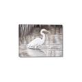 Picture of Wading Egret _GroupedProduct_Rectangle_Landscape_Canvas_