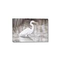 Picture of Wading Egret _GroupedProduct_Rectangle_Landscape_Canvas_
