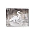 Picture of Wading Egret _GroupedProduct_Rectangle_Landscape_Canvas_
