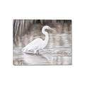 Picture of Wading Egret _GroupedProduct_Rectangle_Landscape_Canvas_