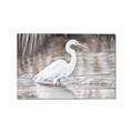 Picture of Wading Egret _GroupedProduct_Rectangle_Landscape_Canvas_