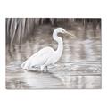 Picture of Wading Egret _GroupedProduct_Rectangle_Landscape_Canvas_