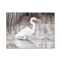 Picture of Wading Egret _GroupedProduct_Rectangle_Landscape_Canvas_