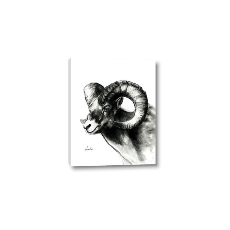 Picture of Sketched Ram _GroupedProduct_Rectangle_Portrait_Canvas_