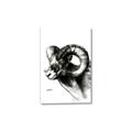 Picture of Sketched Ram _GroupedProduct_Rectangle_Portrait_Canvas_