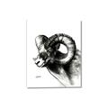 Picture of Sketched Ram _GroupedProduct_Rectangle_Portrait_Canvas_