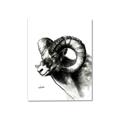 Picture of Sketched Ram _GroupedProduct_Rectangle_Portrait_Canvas_