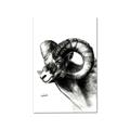 Picture of Sketched Ram _GroupedProduct_Rectangle_Portrait_Canvas_