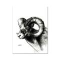 Picture of Sketched Ram _GroupedProduct_Rectangle_Portrait_Canvas_