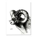 Picture of Sketched Ram _GroupedProduct_Rectangle_Portrait_Canvas_