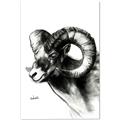 Picture of Sketched Ram _GroupedProduct_Rectangle_Portrait_Canvas_
