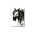 Picture of Sketched Horse _GroupedProduct_Rectangle_Portrait_Canvas_
