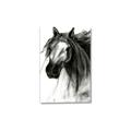 Picture of Sketched Horse _GroupedProduct_Rectangle_Portrait_Canvas_