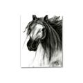 Picture of Sketched Horse _GroupedProduct_Rectangle_Portrait_Canvas_