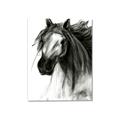 Picture of Sketched Horse _GroupedProduct_Rectangle_Portrait_Canvas_