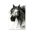 Picture of Sketched Horse _GroupedProduct_Rectangle_Portrait_Canvas_