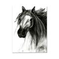Picture of Sketched Horse _GroupedProduct_Rectangle_Portrait_Canvas_
