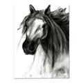 Picture of Sketched Horse _GroupedProduct_Rectangle_Portrait_Canvas_