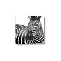 Picture of Zebra Watching _GroupedProduct_Square_Canvas_