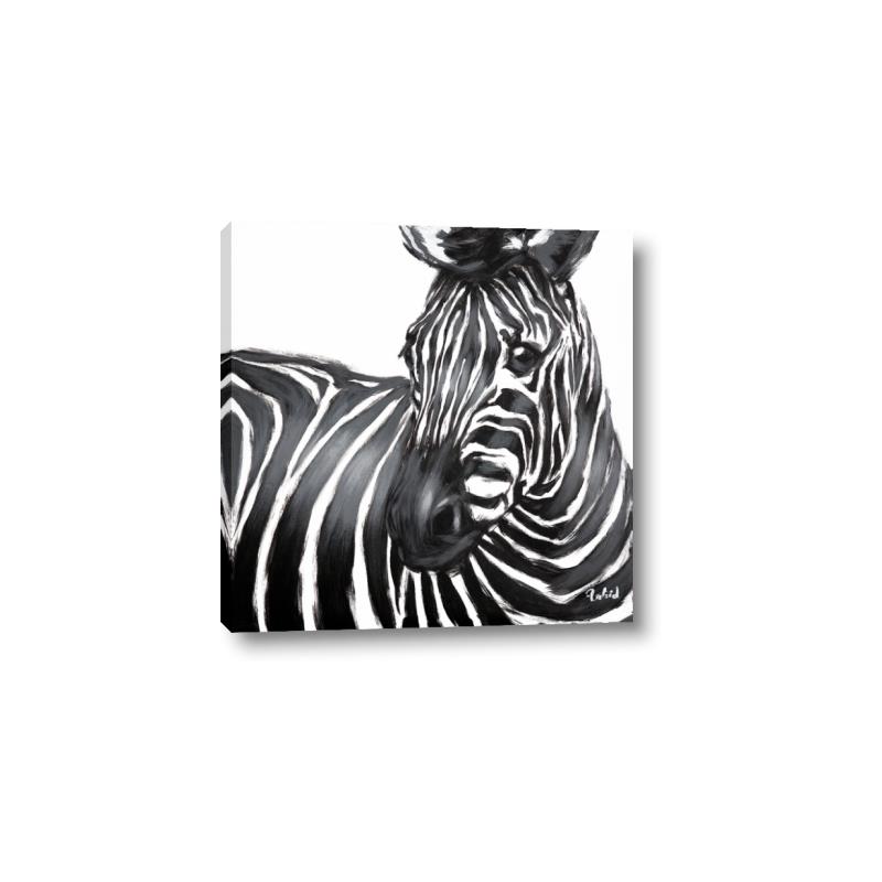 Picture of Zebra Watching _GroupedProduct_Square_Canvas_