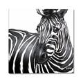 Picture of Zebra Watching _GroupedProduct_Square_Canvas_