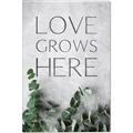 Picture of Love grows here _GroupedProduct_Rectangle_Portrait_Canvas_