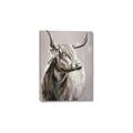 Picture of Harry the Highland _GroupedProduct_Rectangle_Portrait_Canvas_