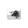 Picture of Big Cattle  _GroupedProduct_Rectangle_Landscape_Canvas_