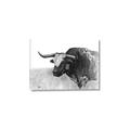 Picture of Big Cattle  _GroupedProduct_Rectangle_Landscape_Canvas_