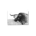 Picture of Big Cattle  _GroupedProduct_Rectangle_Landscape_Canvas_