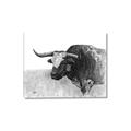 Picture of Big Cattle  _GroupedProduct_Rectangle_Landscape_Canvas_