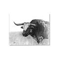 Picture of Big Cattle  _GroupedProduct_Rectangle_Landscape_Canvas_