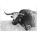 Picture of Big Cattle  _GroupedProduct_Rectangle_Landscape_Canvas_