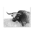 Picture of Big Cattle  _GroupedProduct_Rectangle_Landscape_Canvas_