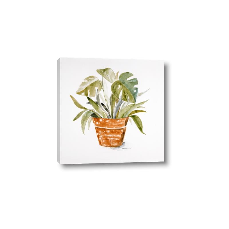 Picture of Palm Plant _GroupedProduct_Square_Canvas_