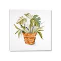 Picture of Palm Plant _GroupedProduct_Square_Canvas_