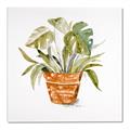 Picture of Palm Plant _GroupedProduct_Square_Canvas_