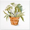 Picture of Palm Plant _GroupedProduct_Square_Canvas_