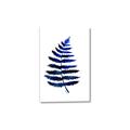 Picture of Indigo Fern  _GroupedProduct_Rectangle_Portrait_Canvas_