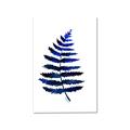 Picture of Indigo Fern  _GroupedProduct_Rectangle_Portrait_Canvas_