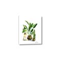 Picture of House Plants I  _GroupedProduct_Rectangle_Portrait_Canvas_