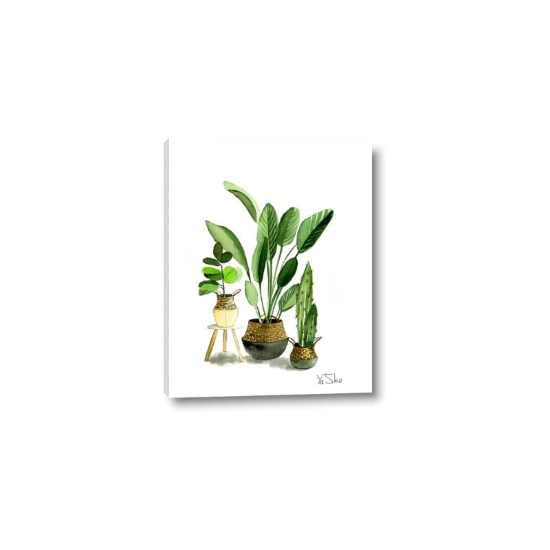 Picture of House Plants I  _GroupedProduct_Rectangle_Portrait_Canvas_