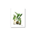 Picture of House Plants I  _GroupedProduct_Rectangle_Portrait_Canvas_